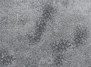 Natursteinplatten_076.jpg