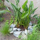 Impr_Zierkiesel_009.jpg